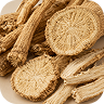 Angelica Root Extract