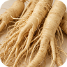 Panax Ginseng Root Extract